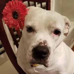 Meet your Posher, Ashlee